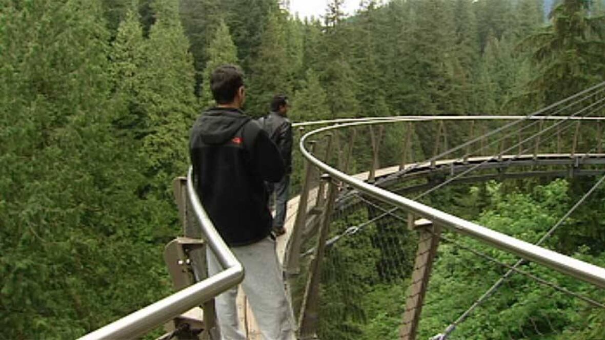 RCMP won't probe Capilano bridge death British Columbia CBC News