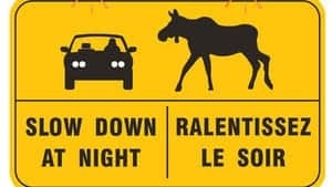 pe-hi-moose-warning-4col