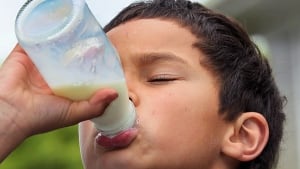 hi-milk-boy-drink-852-cp-13