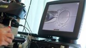 si-ivf-fertility-220-cp-rtx