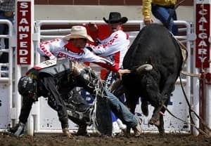 si-300-calg-stampede-bullfighters
