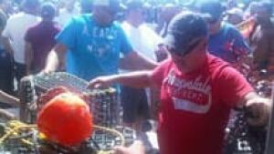 nb-lobster-protest-traps