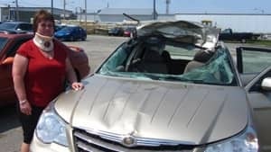 ii-higgins-car-moose-2012