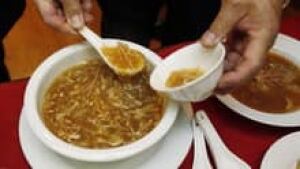 hi-852-shark-fin-soup-cp-3col