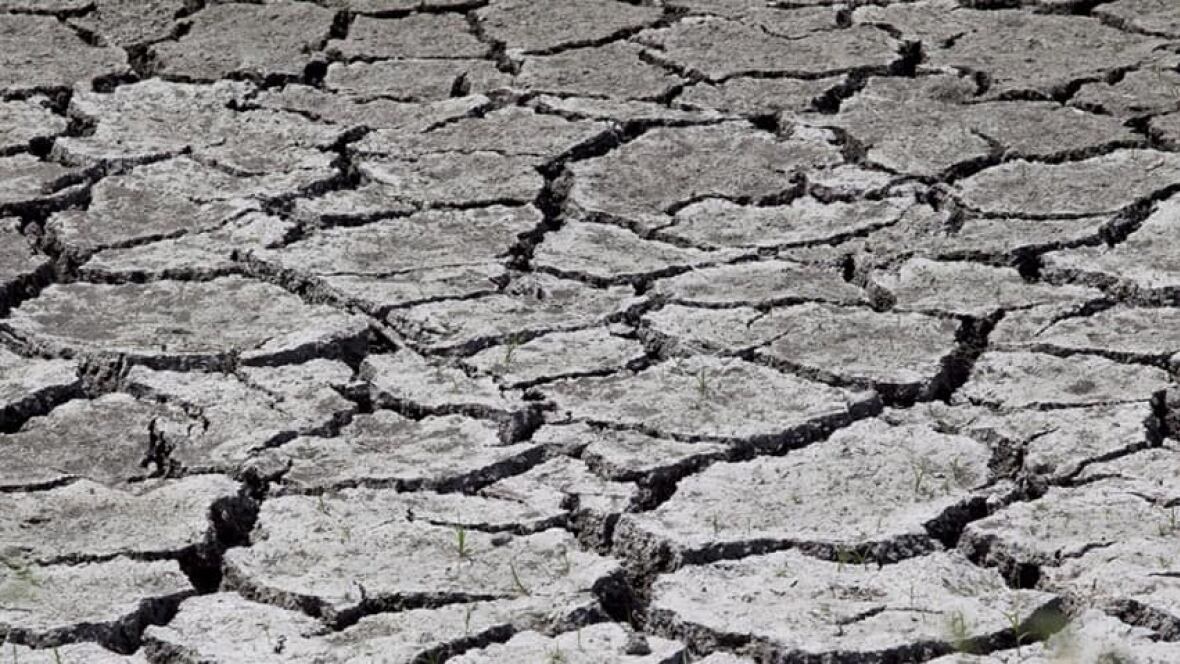 Droughts show global warming is 'scientific fact' World CBC News