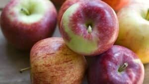 hi-bc-121007-apples-cp-03208955-4col