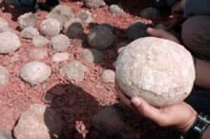 sm-220-dinosaur-eggs-2395092
