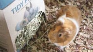 ii-tidy-feeder-smore