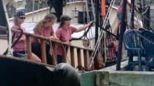tall-ships-ladies_220x124_1