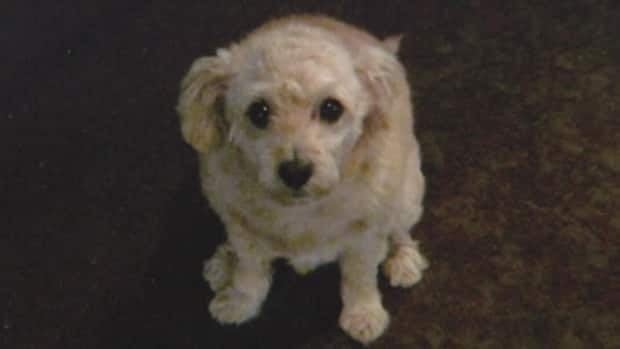 li-ringo-20120904