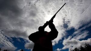 li-gun-registry-9400441