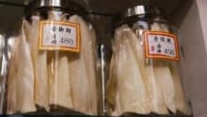 si-shark-fin-cp02600388
