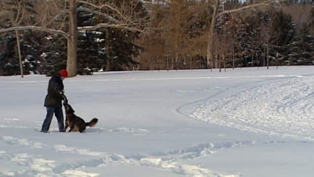 New Off Leash Dog Park Regina New Off Leash Dog Park Regina