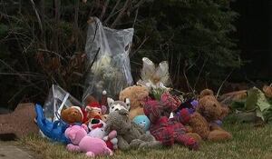 li-teddybearsdrummondville-460