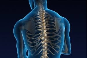inside-spine-istock_0000083