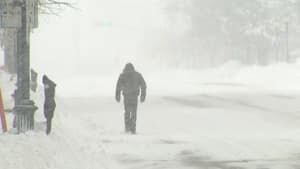 nb-winter-walker-mi