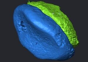 si-denisovan-scan