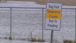 mi-dog-park-flooded-regina