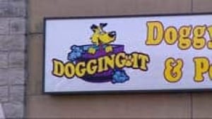 mi-bc-120427-dog-groomer-3