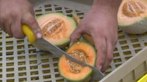Chris Oram Mark's Market cantaloupe