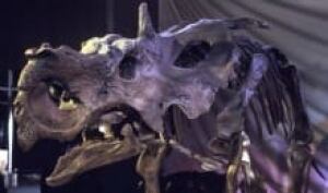 si-dinosaur-river-of-death