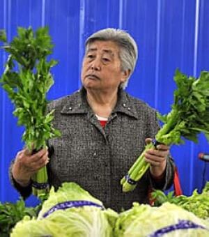 lettuce-250-rtr2m8ou