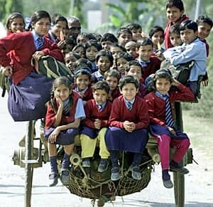 india-cart-300-rtrq4q81