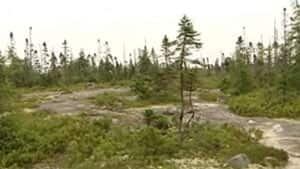ns-si-bayers-lake-300