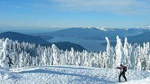 mi-bc-111108-cypress