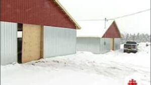 pe-mink-barns