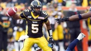 glenn-tiger-cats_584