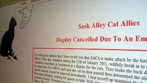 sk-alley-cat-allies