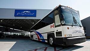 si-edm-greyhound-300-cp-7257820