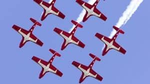 mi-snowbirds-dnd-file