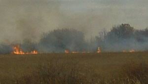 mi-fire-grass