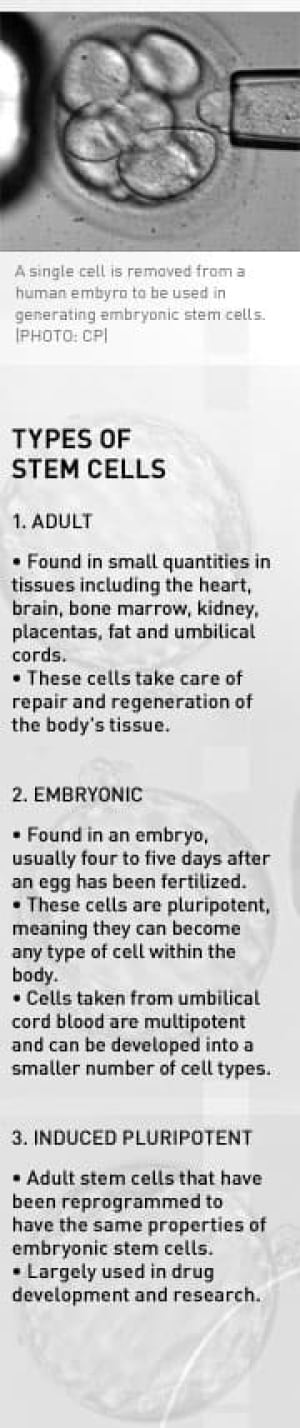 stemcell