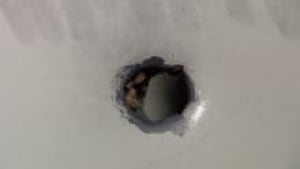 ns-si-evans-bullethole