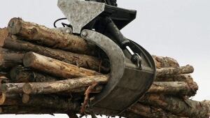 hi-forestry852-cp9900070