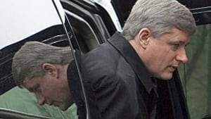tp-harper-shuffle-7970780