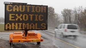 si-zanesville-sign-300-ap-01464504