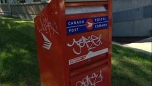 mi-mail-boxes_1