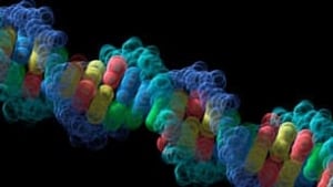 tp-dna-is-tp