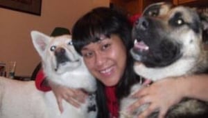 sk-dogs-facebk-2