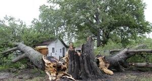 mi-arkansas-300-00517951