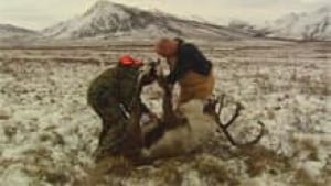 si-dempster-caribou-hunt-220-2009