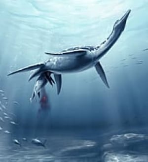 sm-220-plesiosaur-giving-birth-okeefe1hr