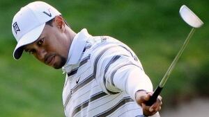 woods-tiger-101204