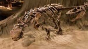 si-dinosaur-find-ankylosaur-220