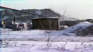 tp-mb-derksen-shed-85