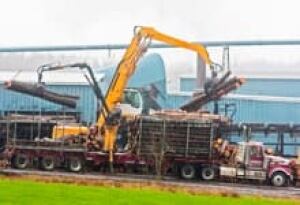 sm-220-logging-truck-00650545